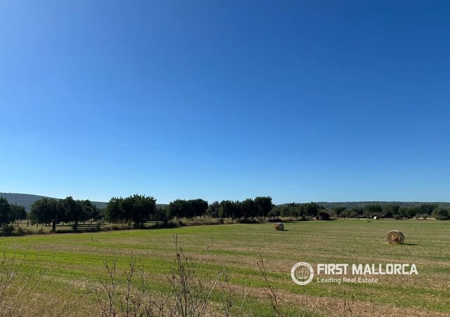 Bouwgrond te koop in Santa María del Camí - € 360.000 (Ref: 10106525)