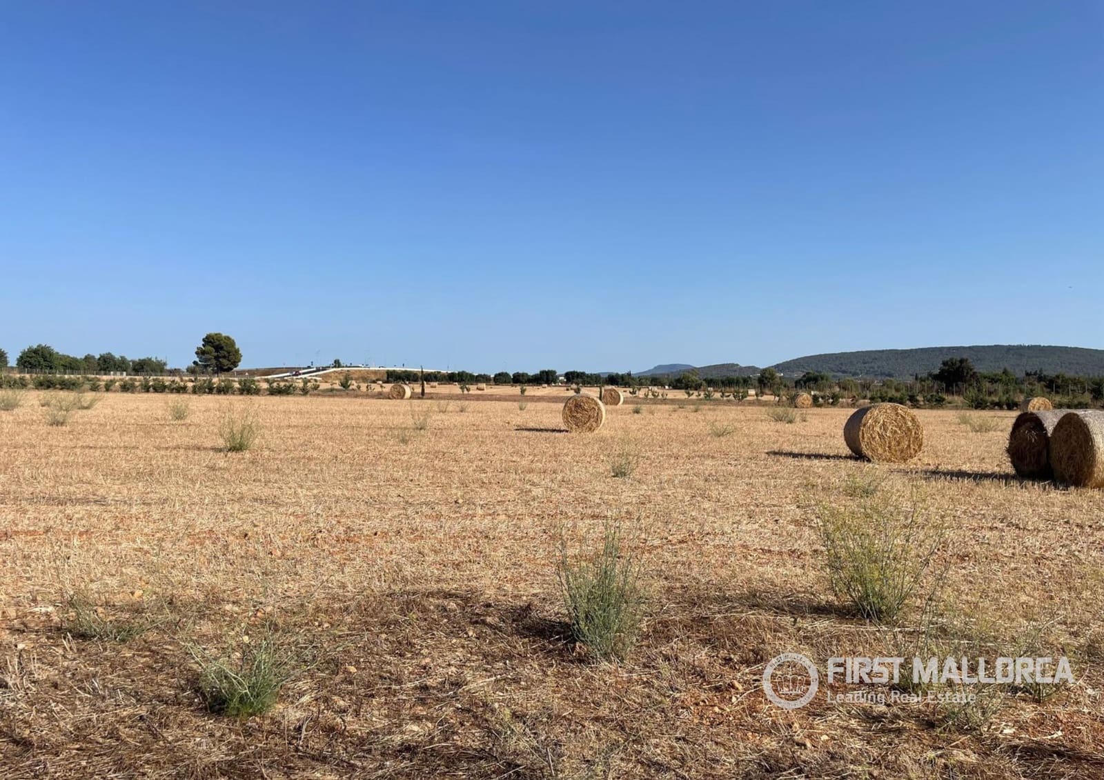 Building Plot for sale in Santa Maria del Cami - € 790,000 (Ref: 10106526)