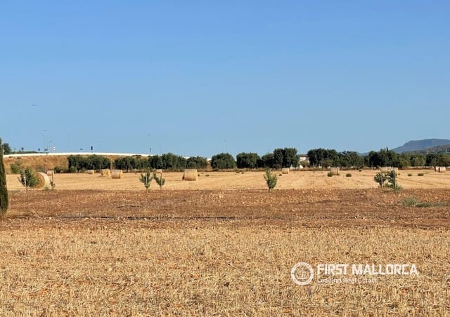 Terreno para Construção para venda em Santa María del Camí - 790 000 € (Ref: 10106526)