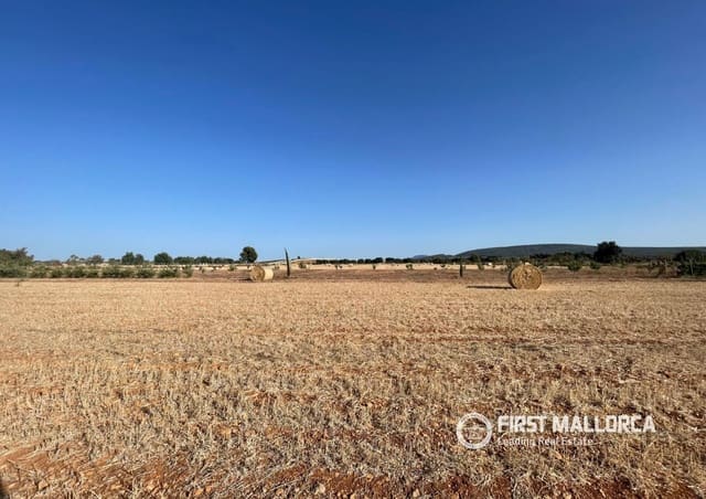 Terreno para Construção para venda em Santa María del Camí - 790 000 € (Ref: 10106526)