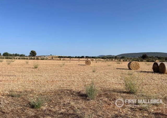 Terreno para Construção para venda em Santa María del Camí - 790 000 € (Ref: 10106526)