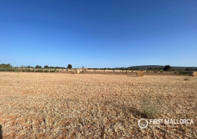 Terreno para Construção para venda em Santa María del Camí - 790 000 € (Ref: 10106526)