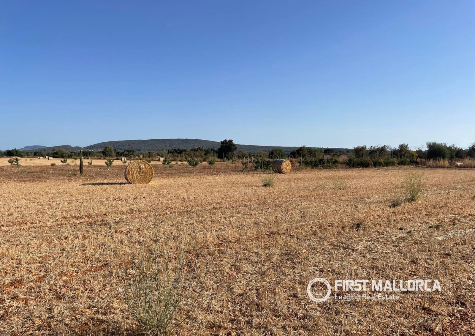 Building Plot for sale in Santa Maria del Cami - € 790,000 (Ref: 10106526)