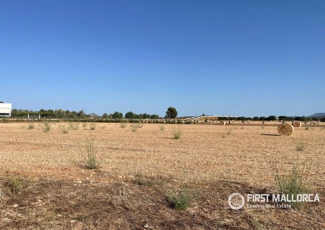 Terreno para Construção para venda em Santa María del Camí - 790 000 € (Ref: 10106526)