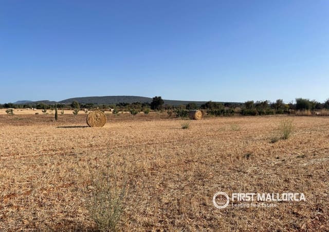 Terreno para Construção para venda em Santa María del Camí - 790 000 € (Ref: 10106526)