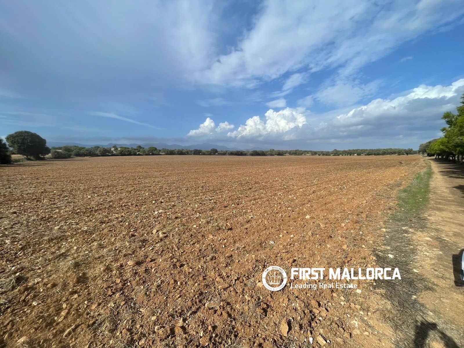 Terreno para Construção para venda em Sencelles - 250 000 € (Ref: 10135203)