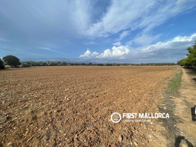 Terreno para Construção para venda em Sencelles - 250 000 € (Ref: 10135203)