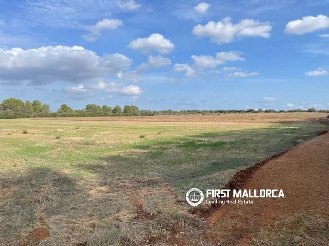 Terreno para Construção para venda em Sencelles - 250 000 € (Ref: 10135203)