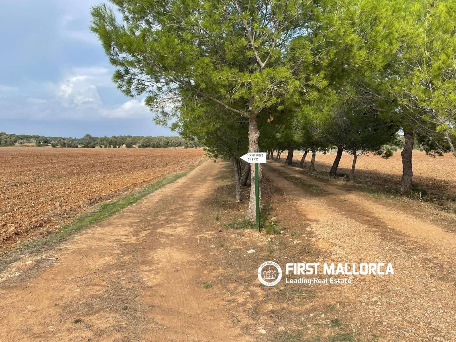 Terreno para Construção para venda em Sencelles - 250 000 € (Ref: 10135203)