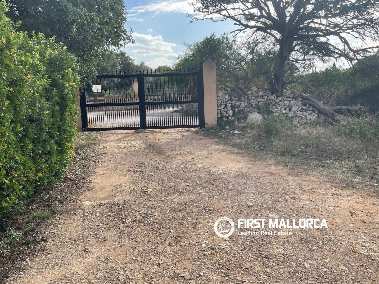 Terreno para Construção para venda em Sencelles - 250 000 € (Ref: 10135203)