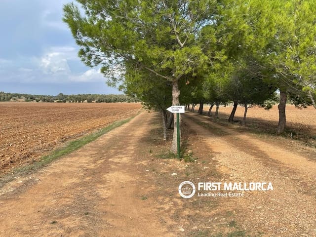 Terreno para Construção para venda em Sencelles - 250 000 € (Ref: 10135203)