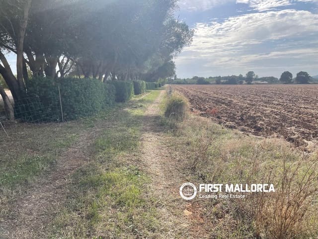 Terreno para Construção para venda em Sencelles - 250 000 € (Ref: 10135203)