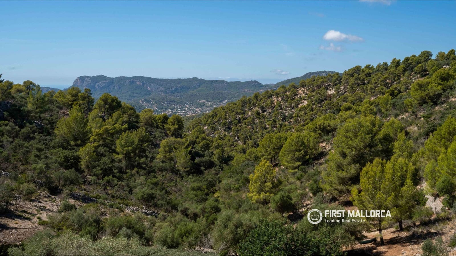 3 soverom Finca/Herregård til salgs i Calvia med svømmebasseng garasje - € 2 595 000 (Ref: 10135204)