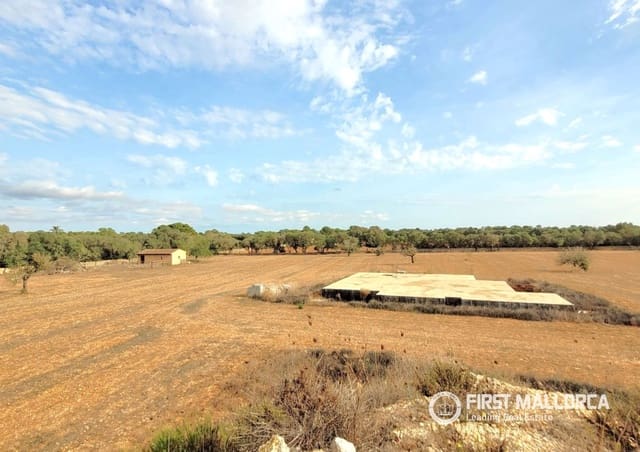 Bauplatz zu verkaufen in Campos - 550.000 € (Ref: 10145294)
