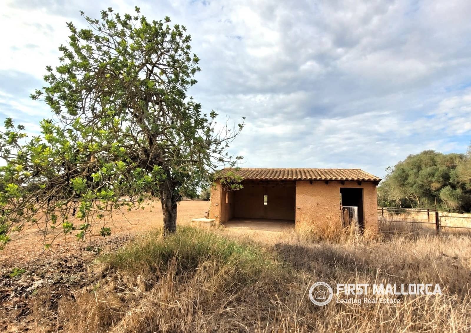 Bauplatz zu verkaufen in Campos - 550.000 € (Ref: 10145294)
