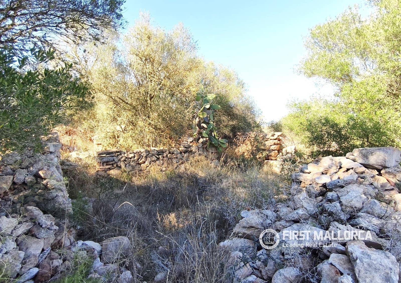 Building Plot for sale in Llucmajor - € 650,000 (Ref: 10165875)