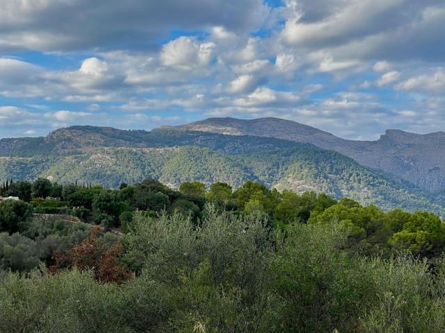 Bauplatz zu verkaufen in Campanet - 250.000 € (Ref: 10176009)