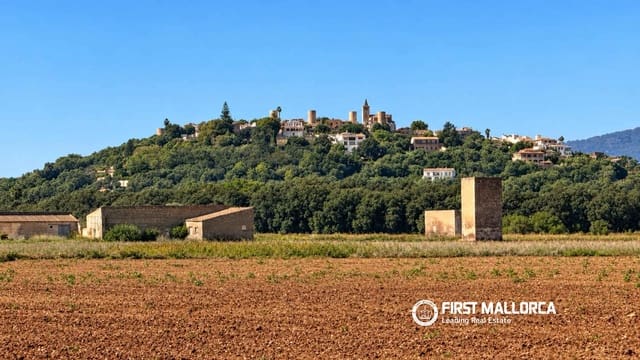 Area Edificabile in vendita in Sa Pobla - 320.000 € (Rif: 10183945)