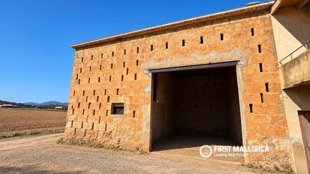 Area Edificabile in vendita in Sa Pobla - 320.000 € (Rif: 10183945)