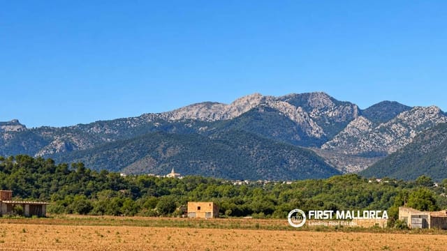 Area Edificabile in vendita in Sa Pobla - 320.000 € (Rif: 10183945)