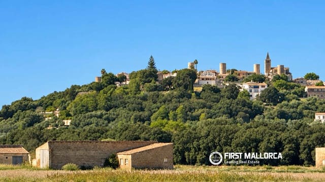 Area Edificabile in vendita in Sa Pobla - 320.000 € (Rif: 10183945)