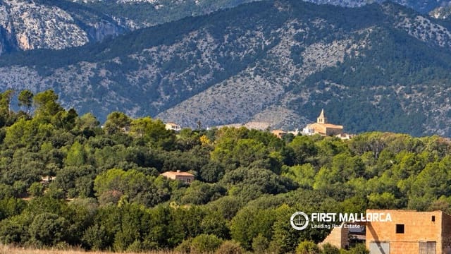 Area Edificabile in vendita in Sa Pobla - 320.000 € (Rif: 10183945)