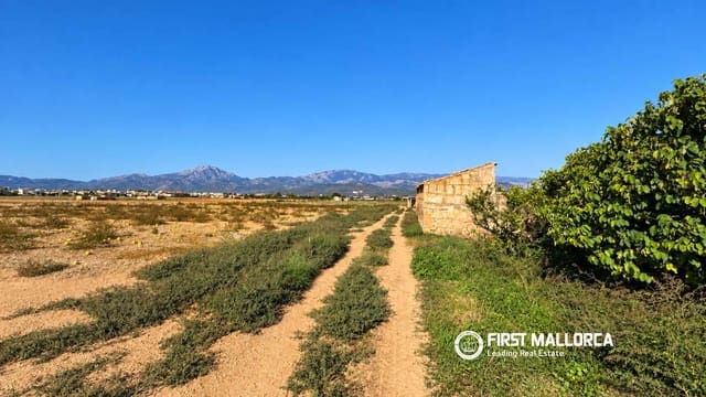 Area Edificabile in vendita in Sa Pobla - 200.000 € (Rif: 10183946)
