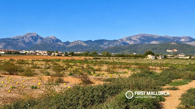 Area Edificabile in vendita in Sa Pobla - 200.000 € (Rif: 10183946)