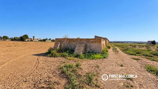 Area Edificabile in vendita in Sa Pobla - 200.000 € (Rif: 10183946)