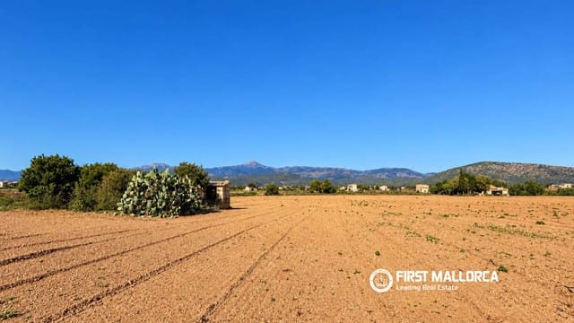 Area Edificabile in vendita in Sa Pobla - 200.000 € (Rif: 10183946)
