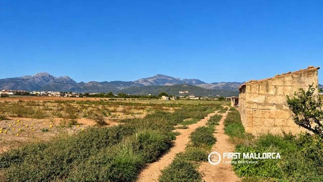 Area Edificabile in vendita in Sa Pobla - 200.000 € (Rif: 10183946)