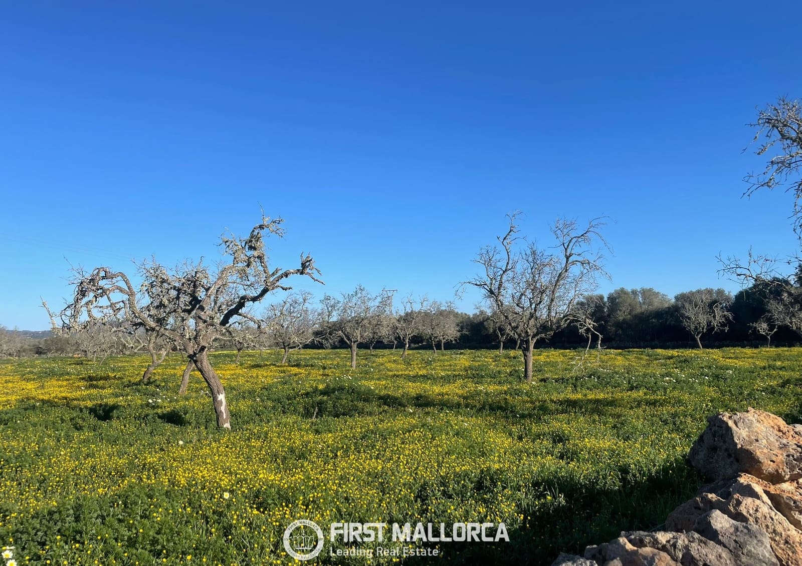 Bouwgrond te koop in Ses Salines - € 870.000 (Ref: 10186252)