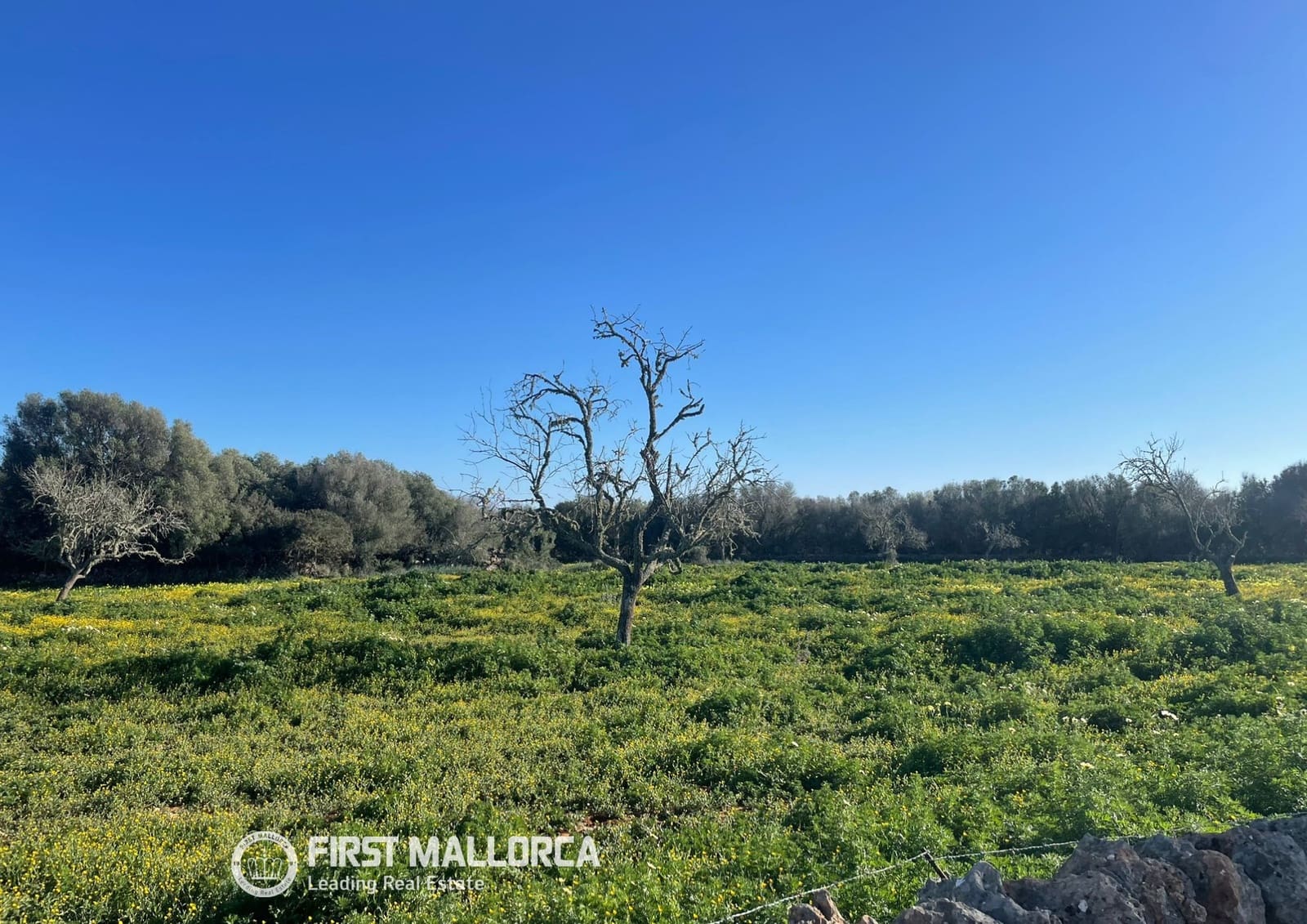 Bouwgrond te koop in Ses Salines - € 870.000 (Ref: 10186252)