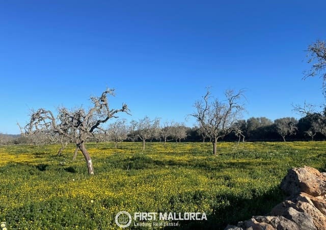 Bouwgrond te koop in Ses Salines - € 870.000 (Ref: 10186252)