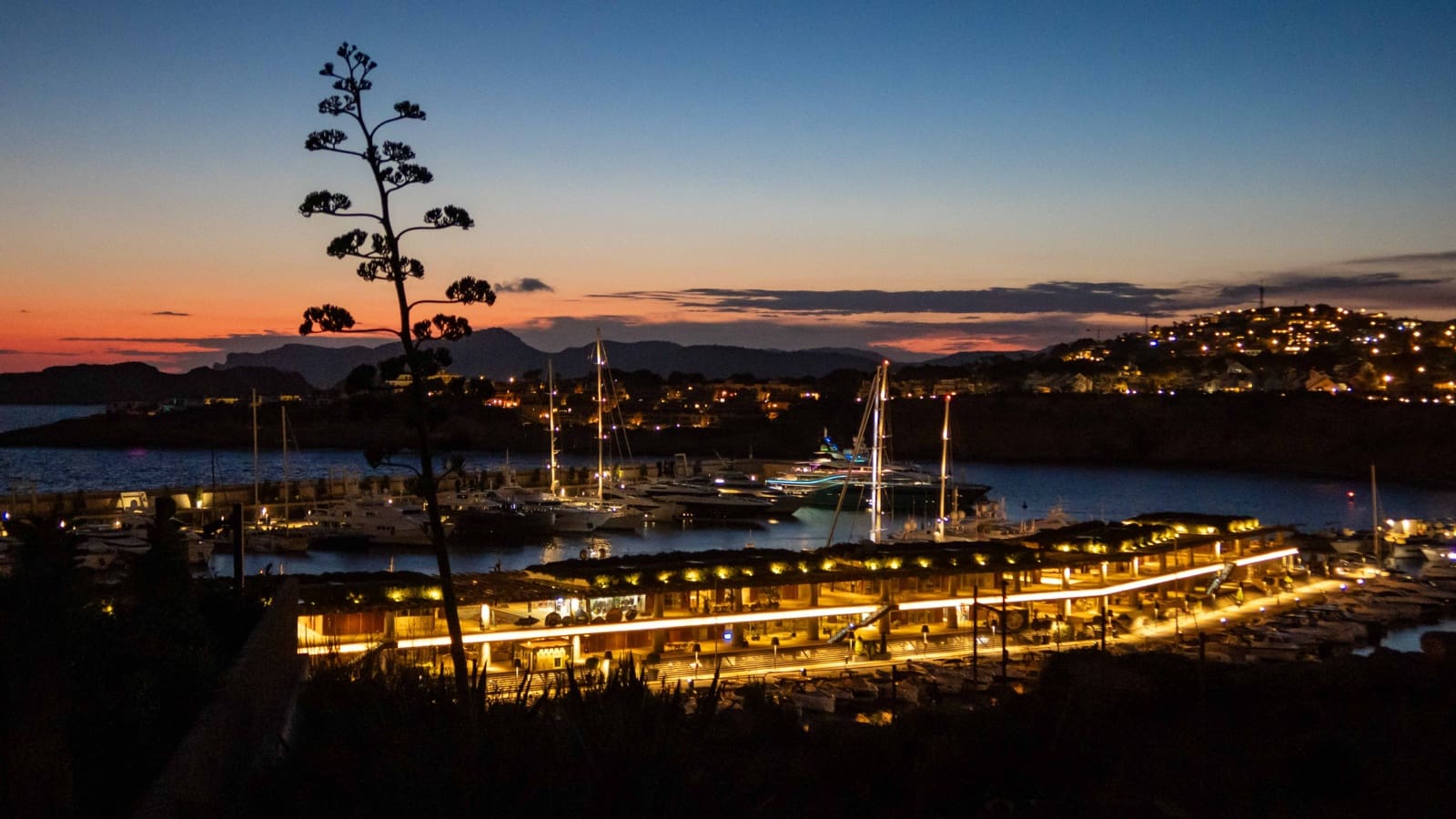 5 sypialnia Willa na sprzedaż w El Toro / Port Adriano z basenem garażem - 2 200 000 € (Ref: 5562764)