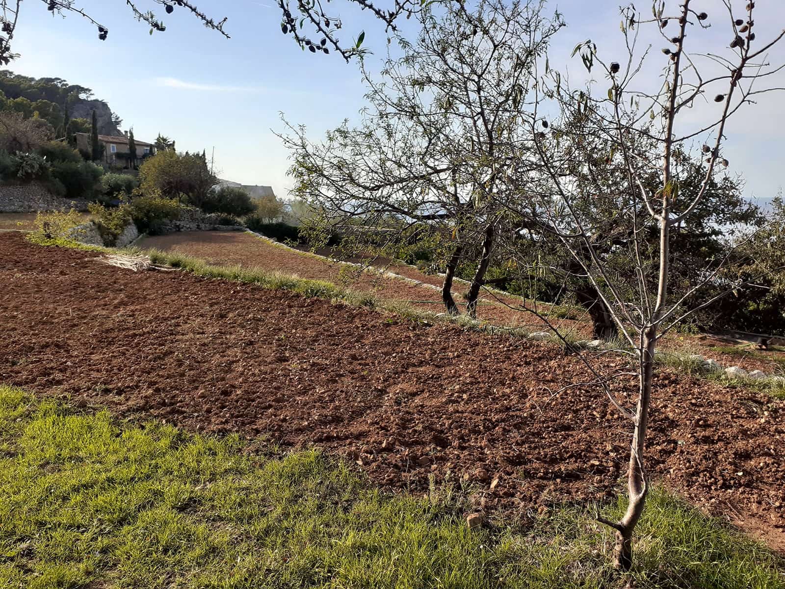 4 quarto Quinta/Casa Rural para venda em Banyalbufar com garagem - 2 157 000 € (Ref: 5698479)