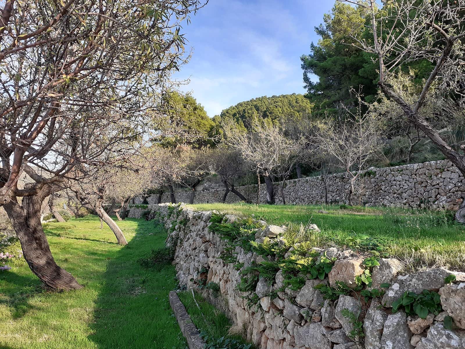 4 quarto Quinta/Casa Rural para venda em Banyalbufar com garagem - 2 157 000 € (Ref: 5698479)