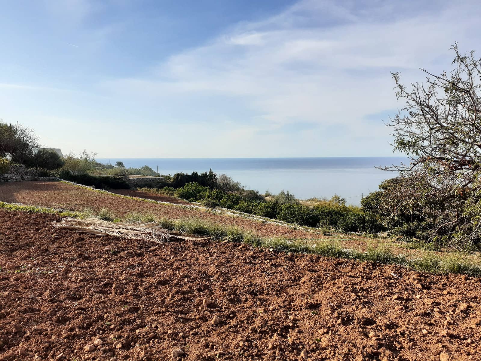 4 quarto Quinta/Casa Rural para venda em Banyalbufar com garagem - 2 157 000 € (Ref: 5698479)