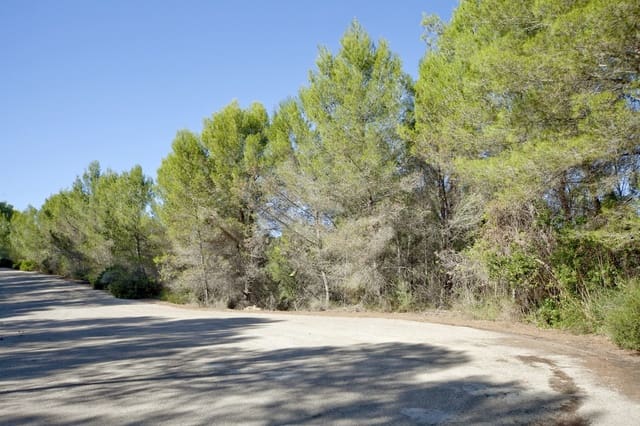 Byggetomt til salgs i Son Vida, Palma de Mallorca - € 1 500 000 (Ref: 5711974)