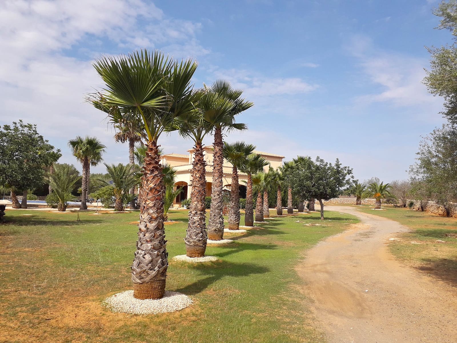 6 soveværelse Finca/Landehus til salg i Santanyi med swimmingpool garage - € 3.300.000 (Ref: 5711994)