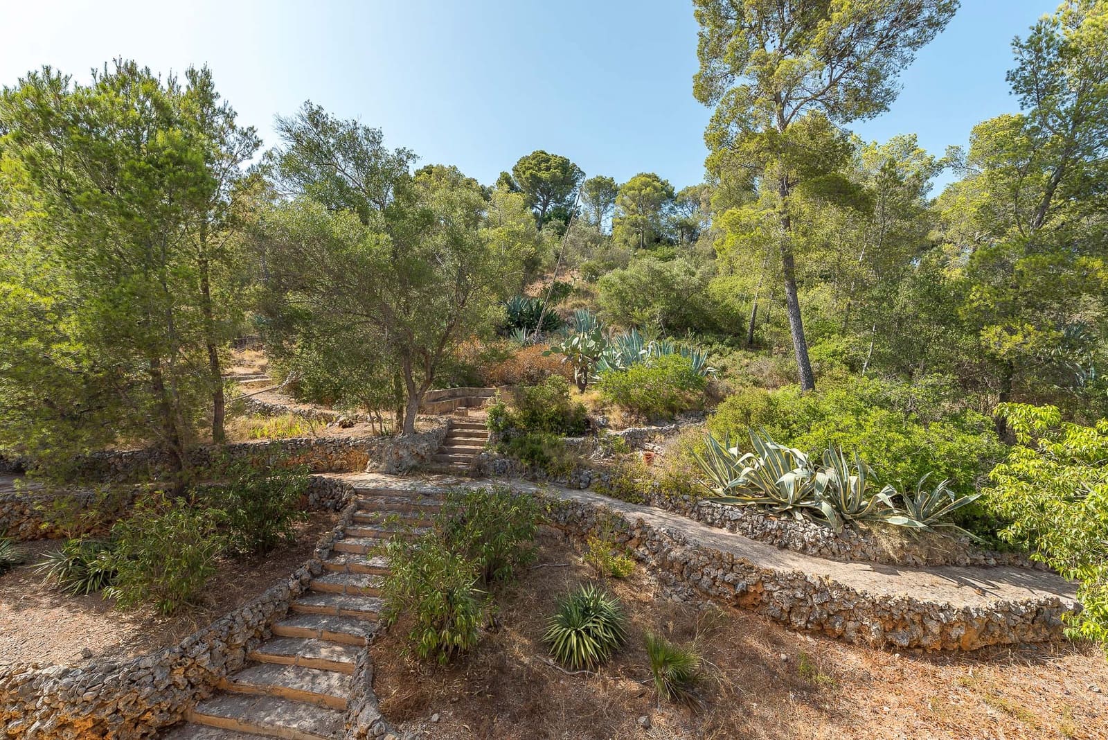 11 Zimmer Finca/Landgut zu verkaufen in Palma de Mallorca mit Garage - 5.900.000 € (Ref: 5712021)