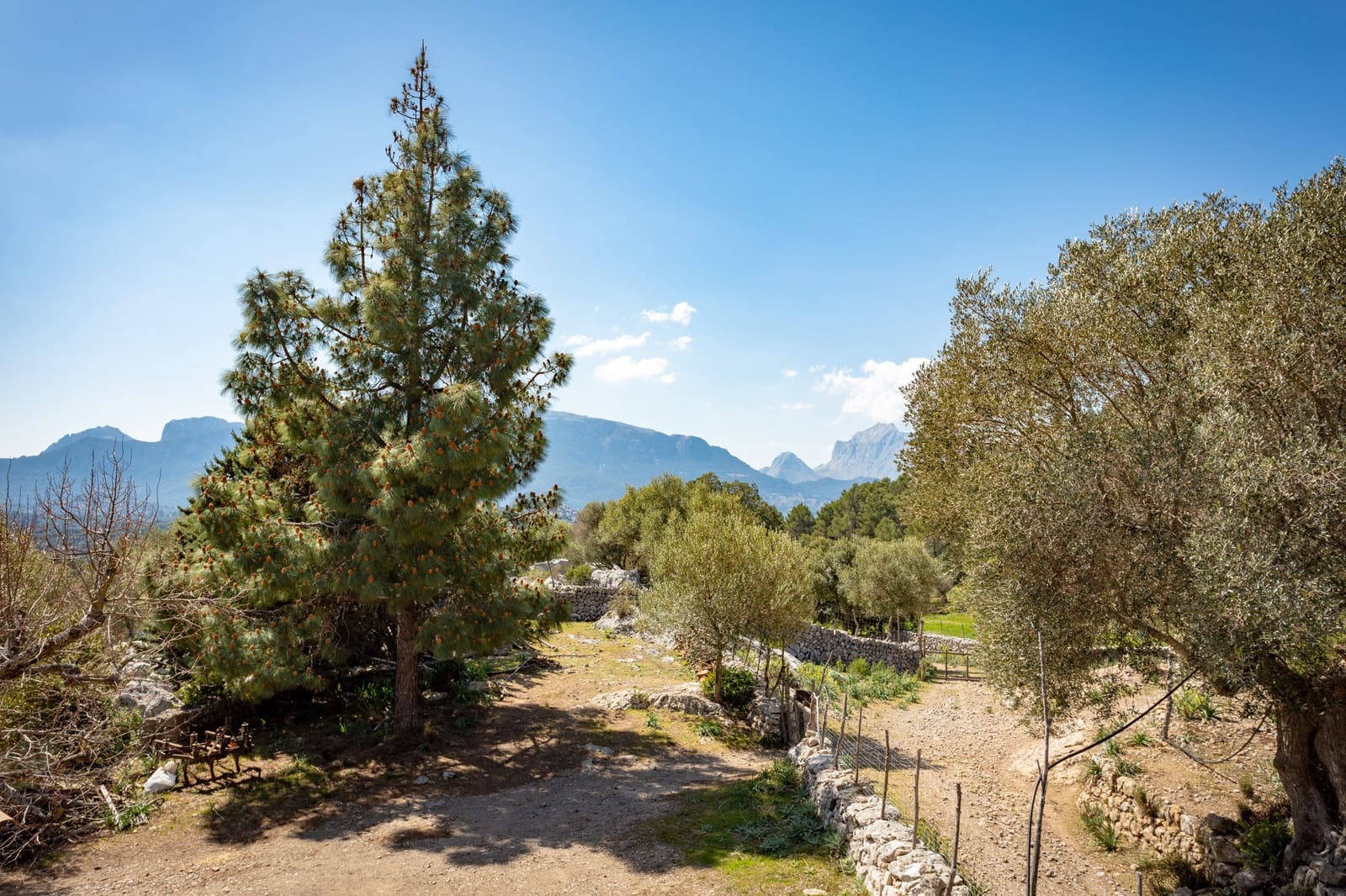 8 quarto Quinta/Casa Rural para venda em Escorca com garagem - 5 400 000 € (Ref: 5712028)