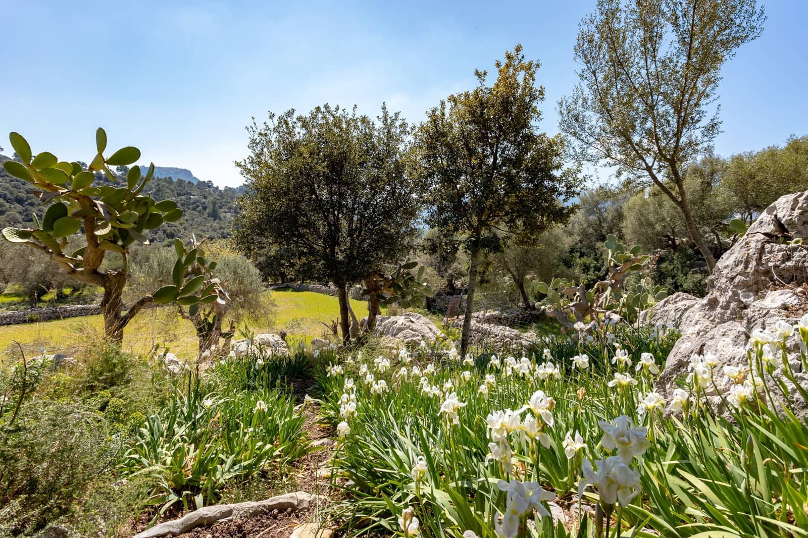 8 quarto Quinta/Casa Rural para venda em Escorca com garagem - 5 400 000 € (Ref: 5712028)