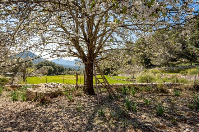 8 camera da letto Finca/Casa di Campagna in vendita in Escorca con garage - 5.400.000 € (Rif: 5712028)