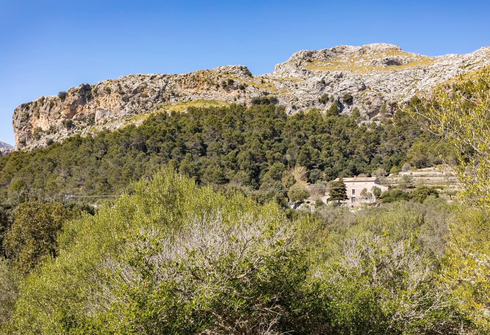 8 quarto Quinta/Casa Rural para venda em Escorca com garagem - 5 400 000 € (Ref: 5712028)