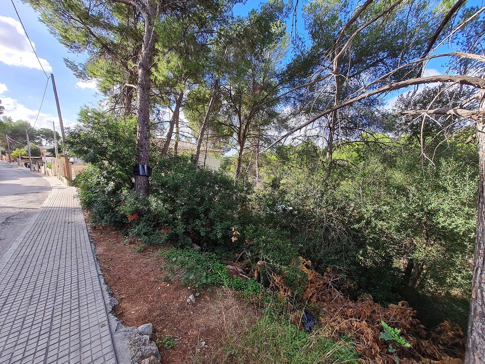 Bauplatz zu verkaufen in Portals Nous - 500.000 € (Ref: 5785898)