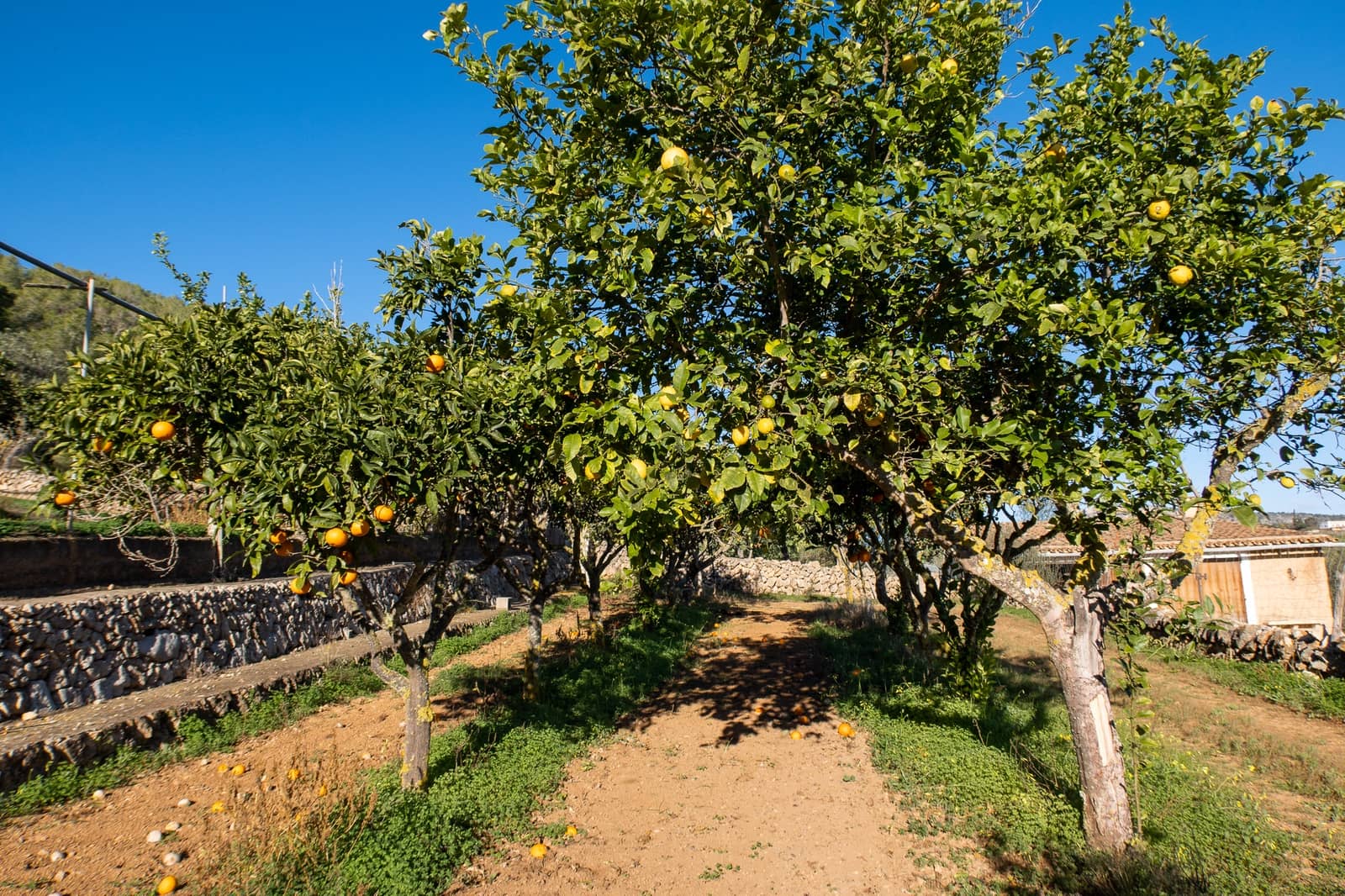 4 quarto Quinta/Casa Rural para venda em Cala Murada com piscina garagem - 1 600 000 € (Ref: 5821487)