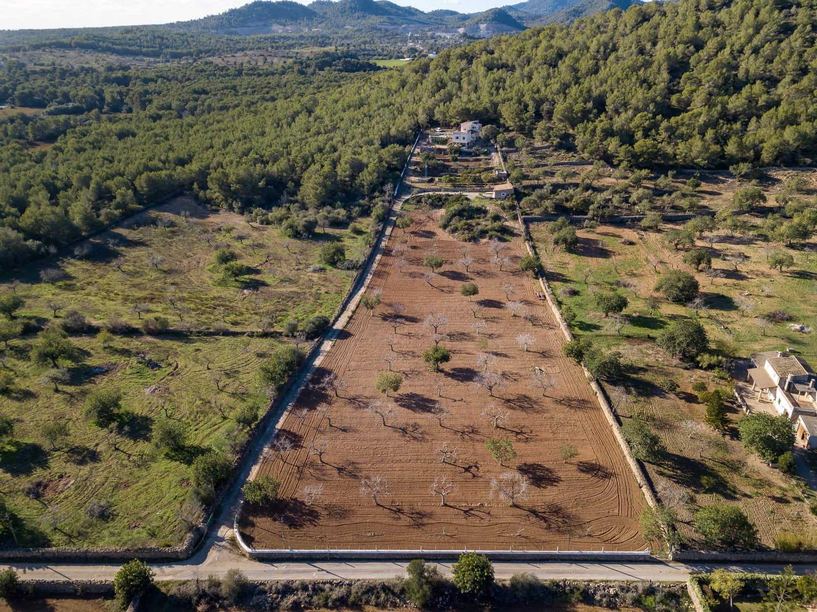 4 quarto Quinta/Casa Rural para venda em Cala Murada com piscina garagem - 1 600 000 € (Ref: 5821487)