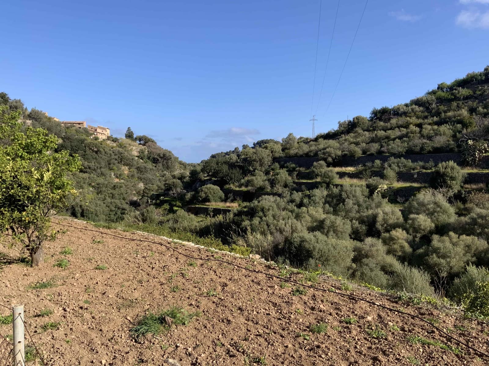 Area Edificabile in vendita in Deia - 1.400.000 € (Rif: 6019520)