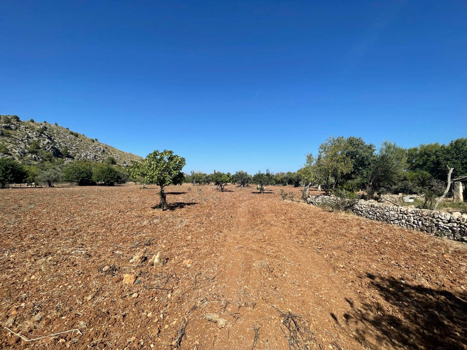 3 quarto Quinta/Casa Rural para venda em Pollensa / Pollenca com garagem - 899 000 € (Ref: 6260675)